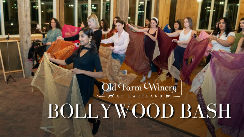 Bollywood Bash