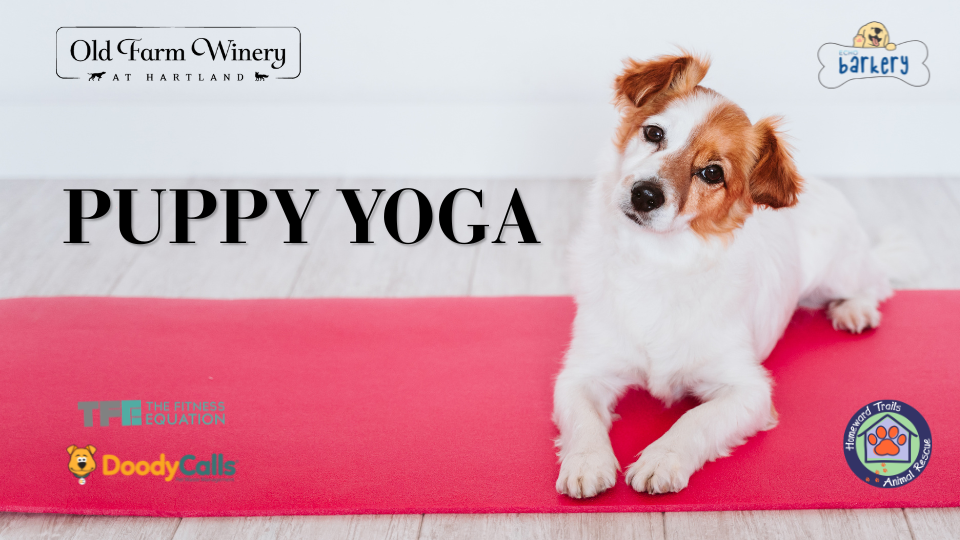 Pose & Pour Yoga