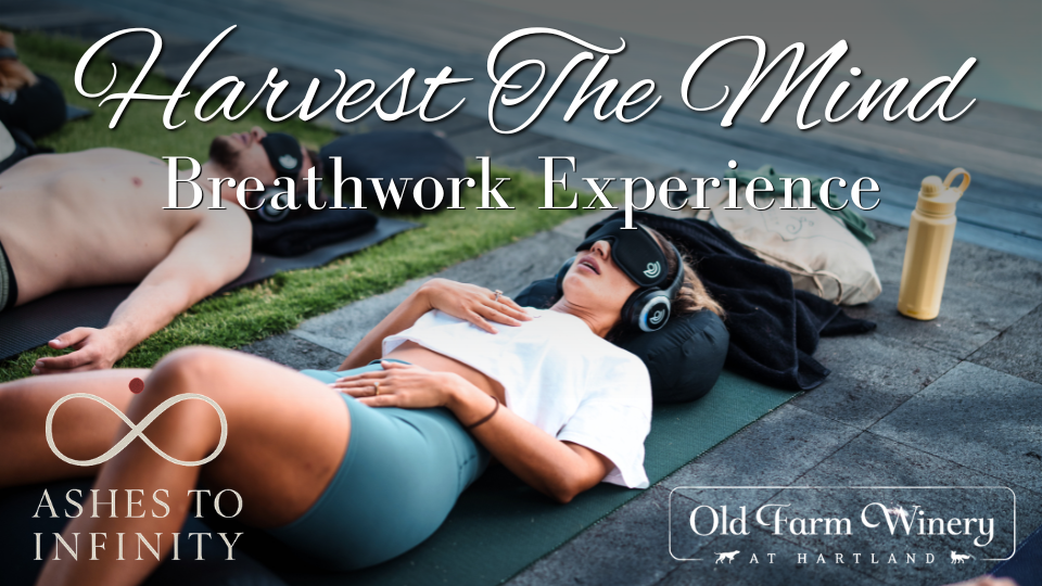 Harvest the Mind: Breathwork Experience